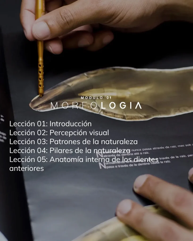 Módulo 01 - Morfologia (1)