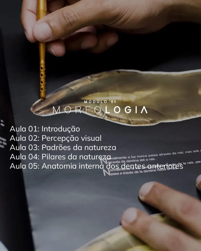 Módulo 01 - Morfologia